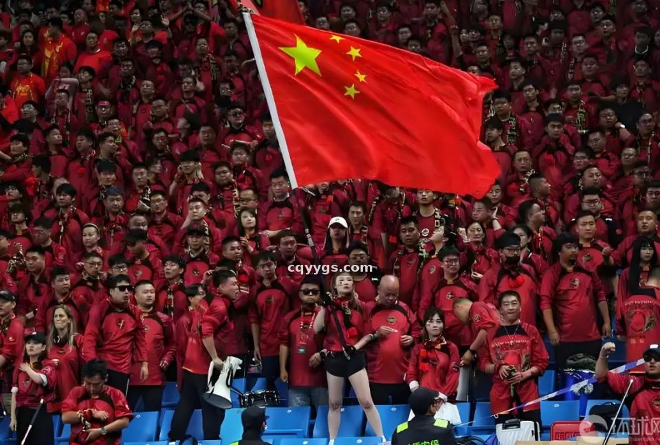 探球网 从替补席到战术核心：一位篮球录像分析师的十年逆袭路